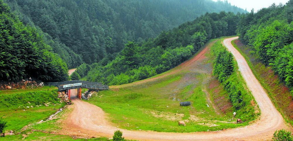 Cheile Grădiştei: de la gater, la baze sportive şi turistice de invidiat